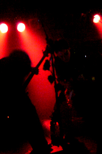 Black Roses